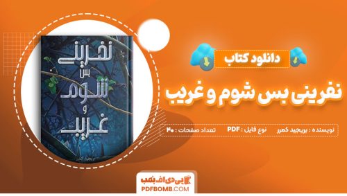 دانلود کتاب نفرینی بس شوم و غریب بریجید کمرر سپهر زهرایی40صفحه PDF پی دی اف📕